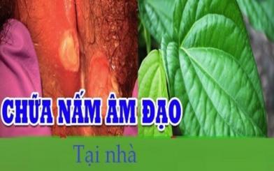 20+ cách chữa nấm âm đạo tại nhà đơn giản, dễ thực hiện