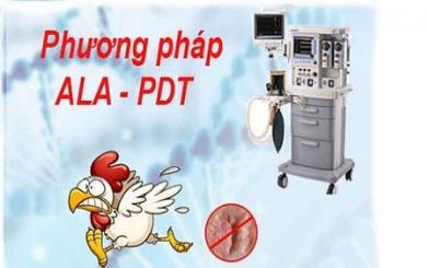 [ Tìm Hiểu ] Đốt sùi mào gà bằng ALA - PDT bao nhiêu tiền có đắt không ?