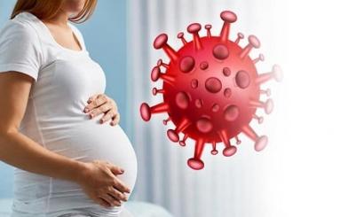 Gai sinh dục ở phụ nữ mang thai có nguy hiểm hay không ?