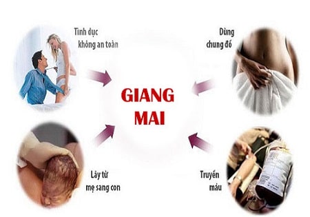 Các con đường lây nhiễm bệnh giang mai 