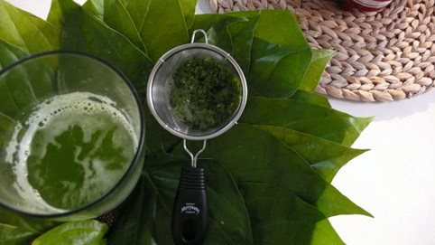 Cách điều trị viêm lộ tuyến cổ tử cung bằng lá trầu không và lá húng quế