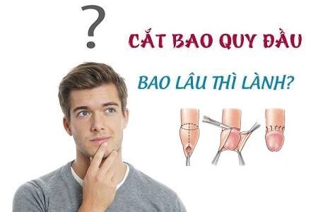 Cắt bao quy đầu bao lâu thì lành vết thương?