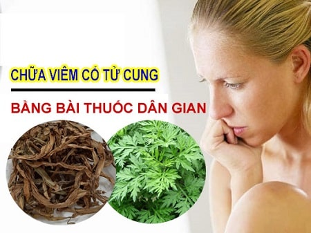 Lưu ý khi sử dụng cây thuốc nam chữa viêm lộ tuyến cổ tử cung