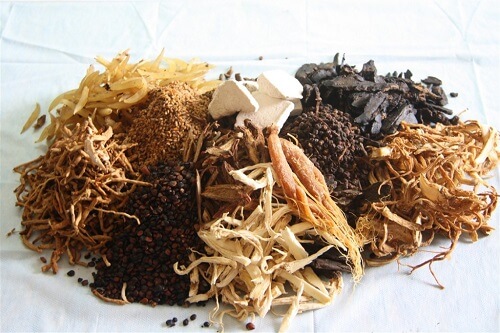 Chữa vô sinh bằng thuốc nam 