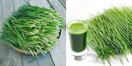 Cách khắc phục xuất tinh sớm tại nhà bằng lá hẹ