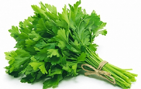 Chữa rối loạn kinh nguyệt tại nhà bằng thuốc nam - Mùi tây 