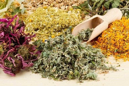 5 cách chữa viêm phụ khoa bằng thuốc Đông y an toàn, giảm ngứa nhanh