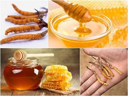 Kết hợp mật ong với đông trùng hạ thảo