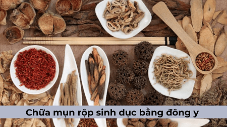 Những bài thuốc đông y chữa mụn rộp sinh dục an toàn, hiệu quả