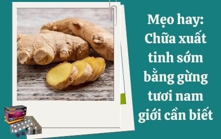 Gừng tươi có vai trò gì trong chữa xuất tinh sớm?