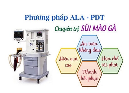 Phương pháp hỗ trợ điều trị sùi mào gà triệt để