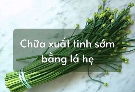 Cách chữa xuất tinh sớm bằng lá hẹ 