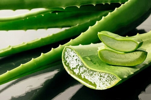 Chữa trị viêm đường tiết niệu bằng nha đam