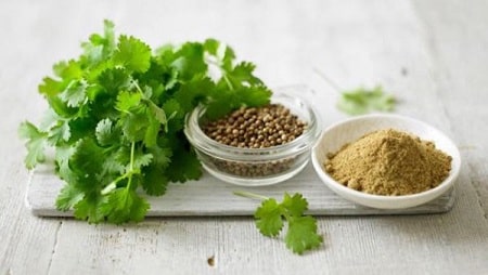 3 cách dùng rau mùi chữa bệnh trĩ tại nhà 