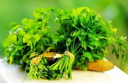 Tìm hiểu công dụng của rau mùi chữa bệnh trĩ
